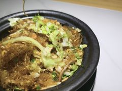 -鸽小宝(深圳首店)