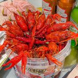 龙年第一顿烧烤龙虾吃到停不下来！！