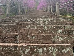 -天台山赤城山景区