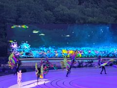 -鼎盛王朝康熙大典实景演出