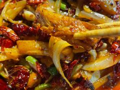 -柴窝堡22号辣子鸡·传承新疆菜