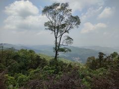 -广州市帽峰山景区