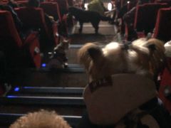 -保利国际影城(万家邻里店)