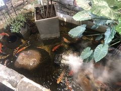 -茶理宜世(京溪店)