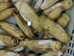 -王四营海鲜市场