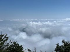 -白草畔自然风景区