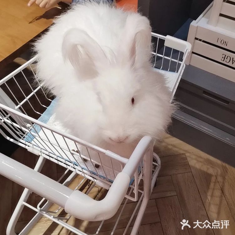 撸兔体验门票60分钟68元很划算