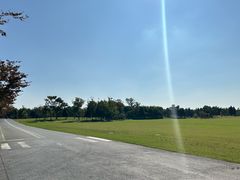 -金沙湖旅游度假区