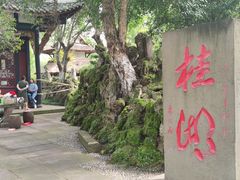 -老桂湖公园-杨升庵博物馆