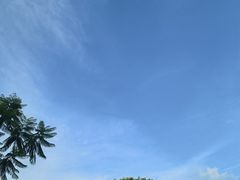 -佰园全日西餐厅-厦门佰翔软件园酒店