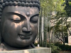-杭州植物园