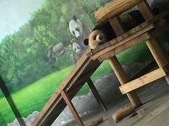 -临沂动植物园