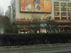 -弘医堂医院-中医科