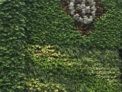 -中山大学附属第六医院(院本部)