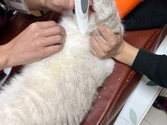 -美联众合动物医院·24h京西诊疗中心