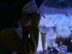 -瑞普利水族馆