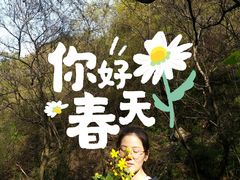 -抱龙峪