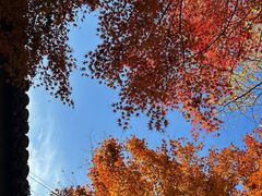 -狼山风景名胜区