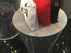-LOEWE罗意威(北京SKP女装店(一层))