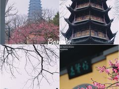 -红梅公园