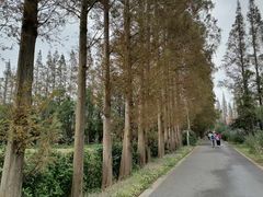 -前小桔亲子创意农场·草莓采摘·露营烧烤