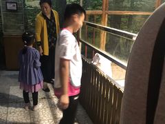 -上海大自然野生昆虫馆(东方明珠·爬宠昆虫探索中心)