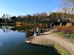 -新江湾城公园
