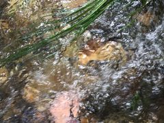 -大连冰峪旅游度假区