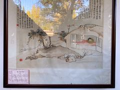 -水绘园