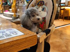 -more than meow吴止猫主题餐厅(承德 中船汇店)