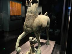 -广西壮族自治区博物馆