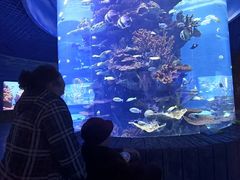 -多彩贵州城极地海洋世界