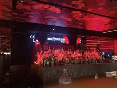 -罗斯福色戒酒吧(外滩店)