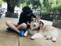 -TrueLove @ Neverland (Husky Cafe)