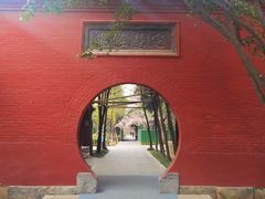 -洛阳白马寺