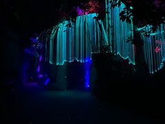-南山植物园