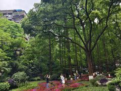 -忠山公园