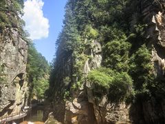 -茅兰沟国家森林公园