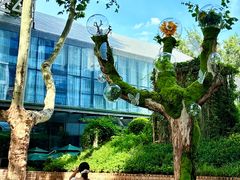 -西安电影制片厂