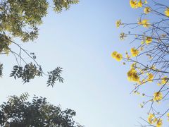 -火炉山森林公园