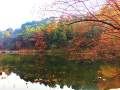 -香山公园
