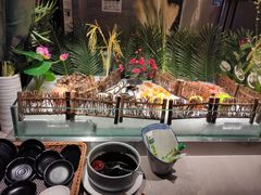 海鲜大咖-蓝鲸湾汤泉(包河店)