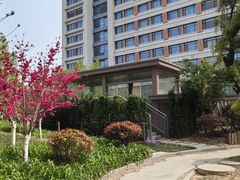 -山东省千佛山医院