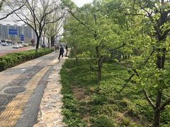 -星光影视园