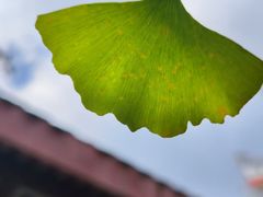 -莆田南少林寺