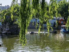 -团结湖公园