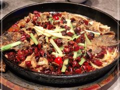 -老板恋上鱼(恒隆广场店)