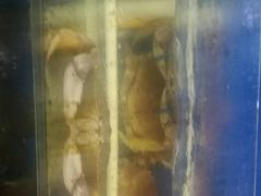 -渔中舟海鲜大排档(普陀沈家门店)