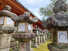 -奈良公园