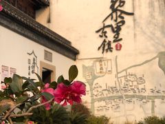 -黎里古镇